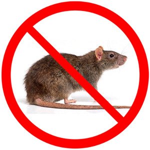 Rodent Control